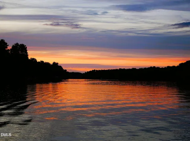 a view of a park with large trees