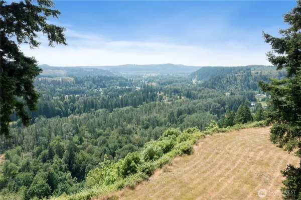 a view of a valley with a mountain in the background