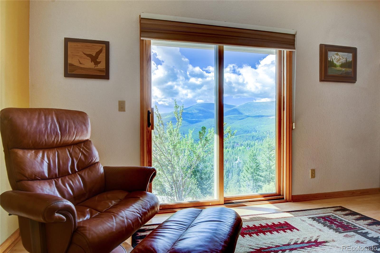 33633 Elk Run Evergreen, CO 80439 - Photo 28 of 40 a living room with furniture and a window
