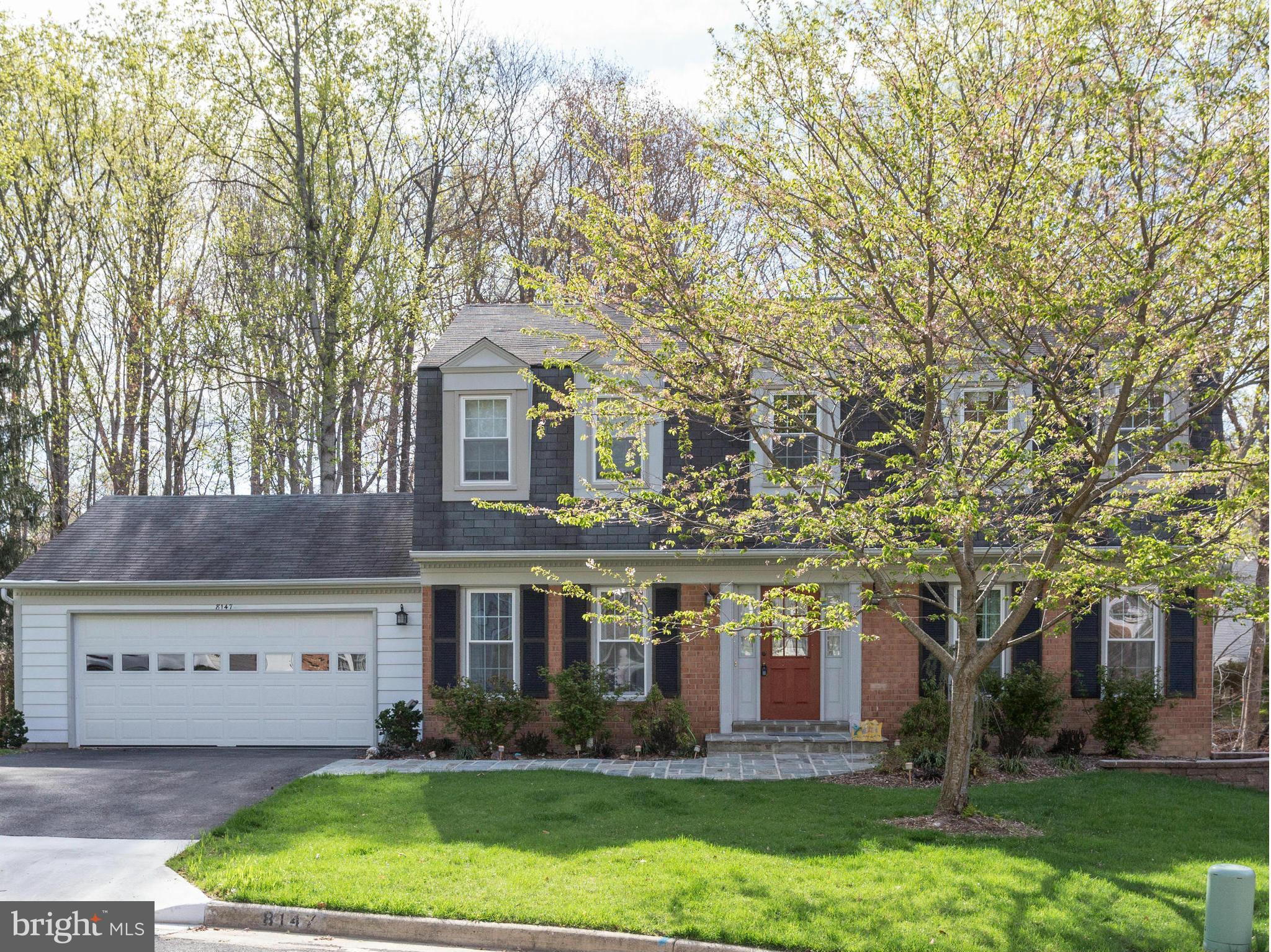 8147 Viola Street Springfield, VA 22152 - Photo 1 of 30 Exterior (Front)
