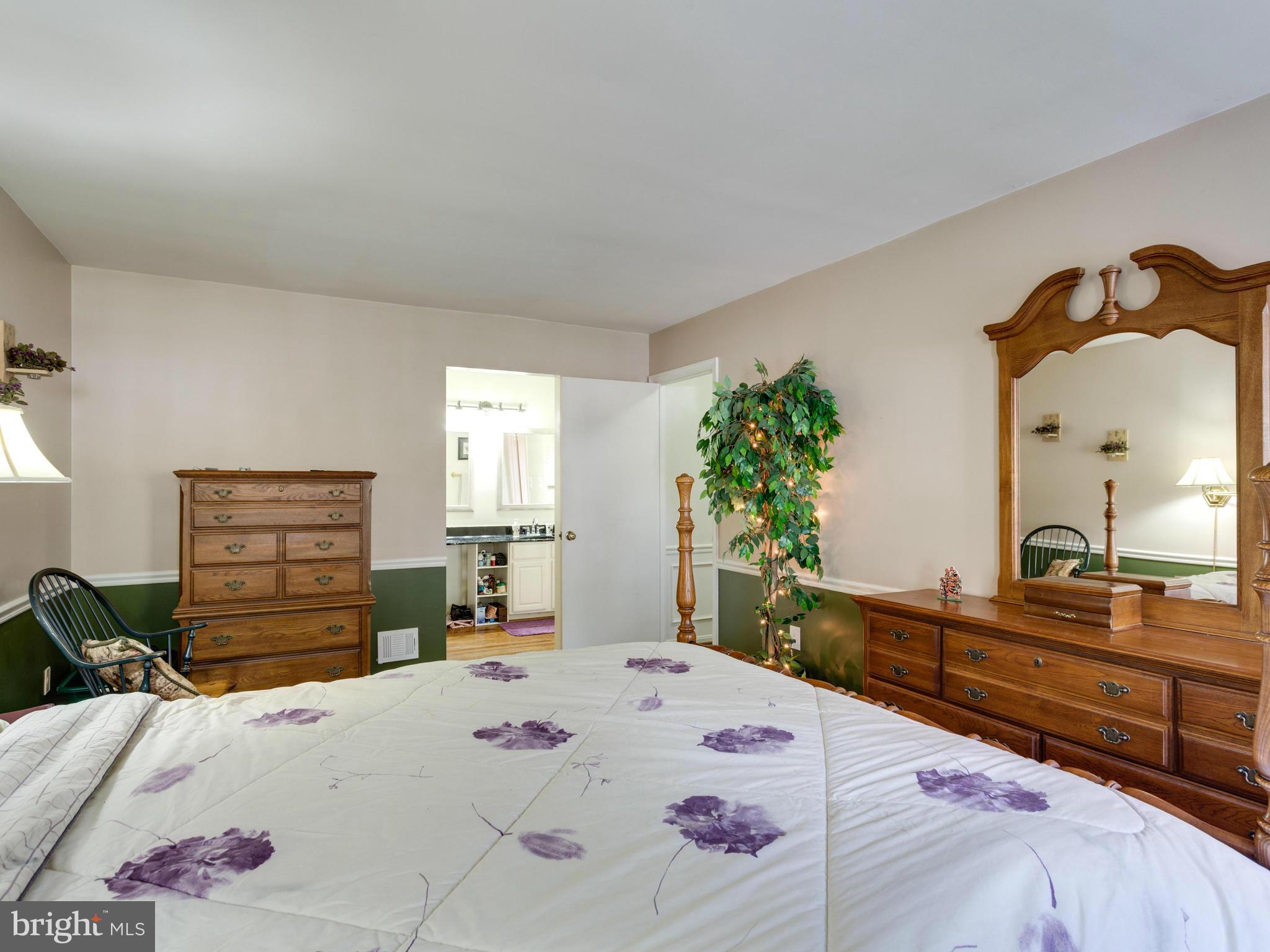 8147 Viola Street Springfield, VA 22152 - Photo 14 of 30 Bath (Master)