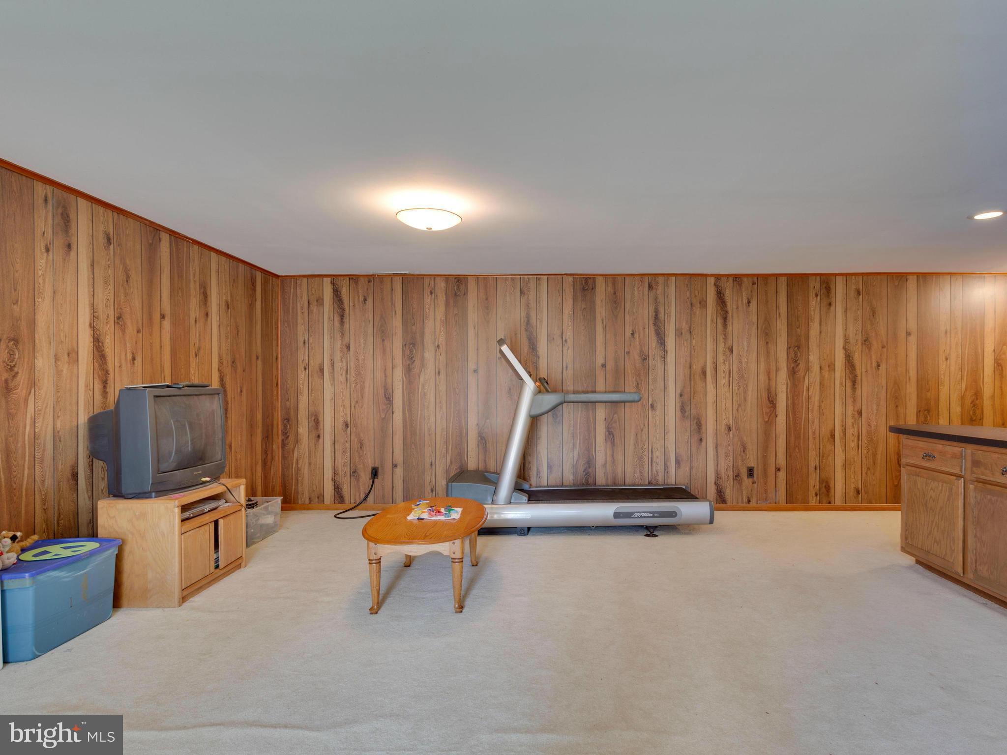 8147 Viola Street Springfield, VA 22152 - Photo 22 of 30 Basement