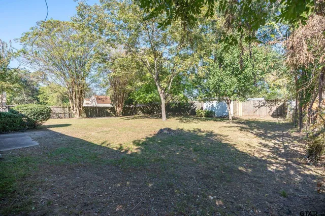 a view of a yard with tree