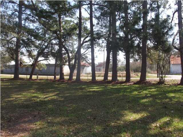 137 Tony Road Church Point, LA 70525 - Photo 3 of 3 Additional Photo