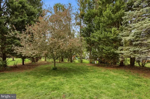 a view of yard with trees