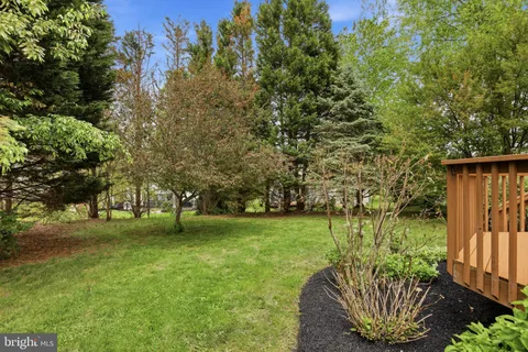 a view of a garden with a bench in a garden