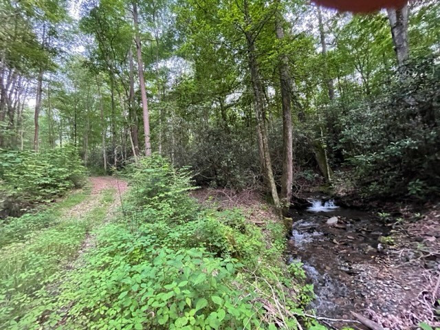 0 Chestnut Street Andrews, NC 28901 - Photo 11 of 12