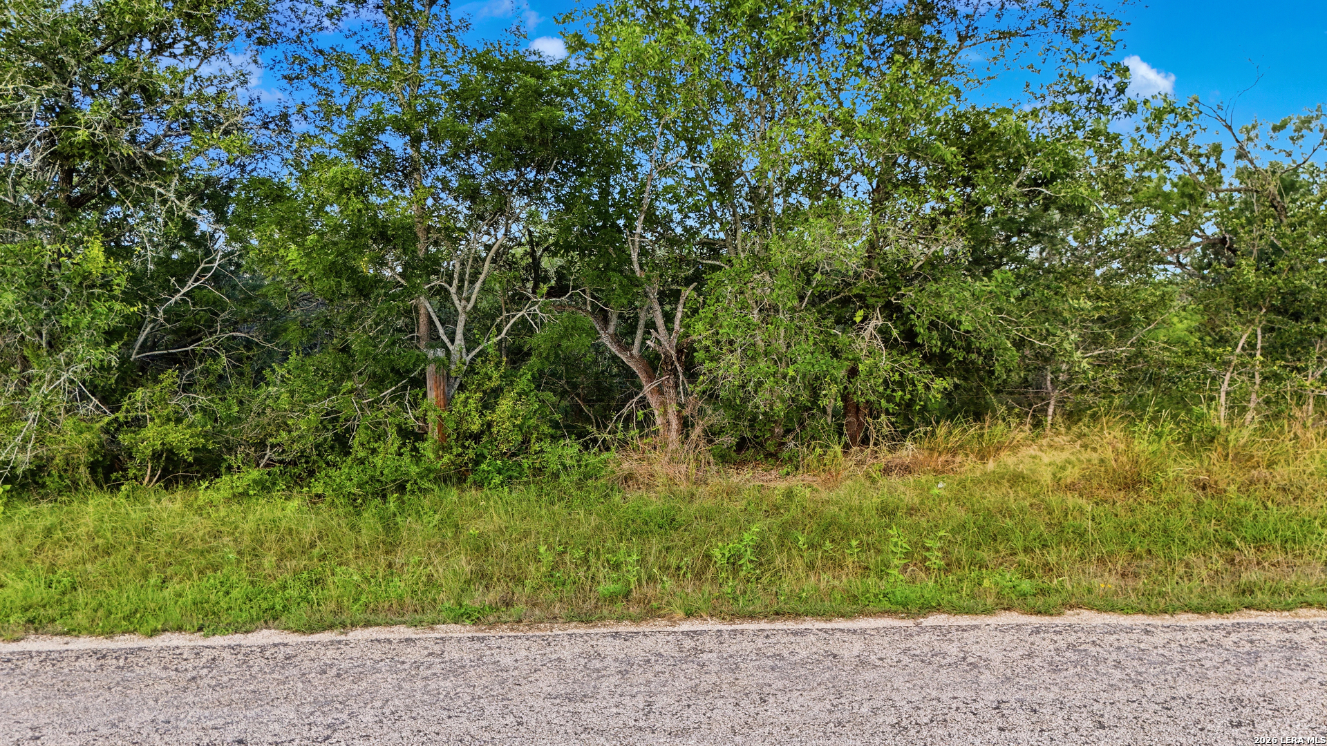 385 Marrou Road Seguin, TX 78155 - Photo 4 of 14