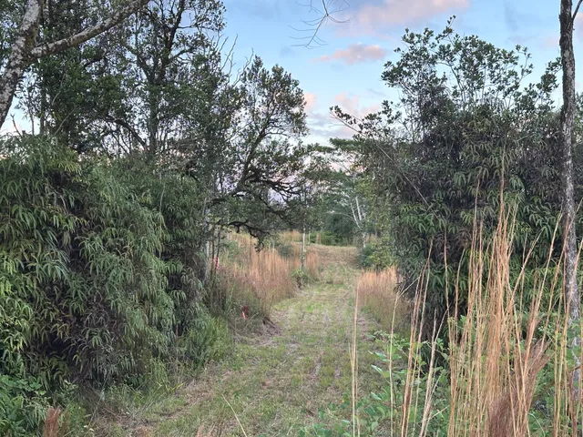 a view of lake with green space