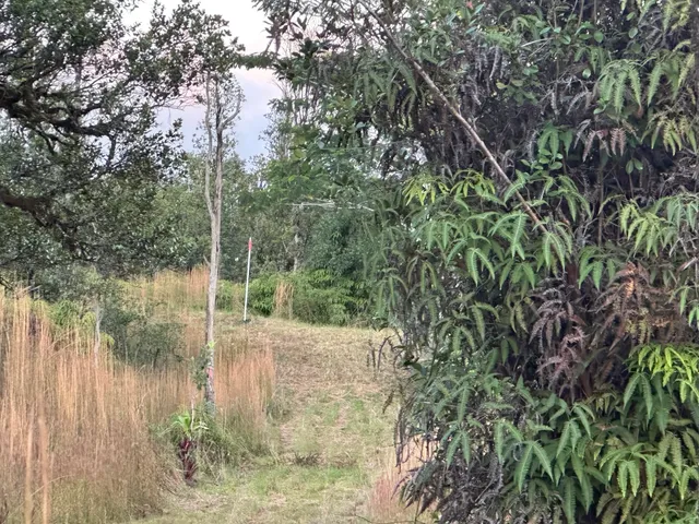 a view of a lake view
