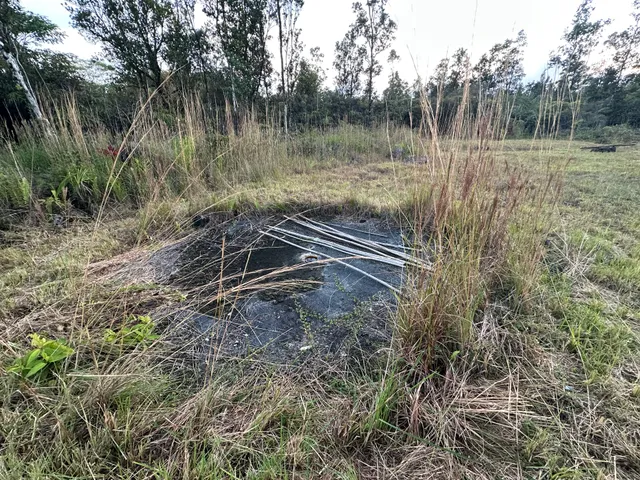 a view of a lush green forest next to a lake