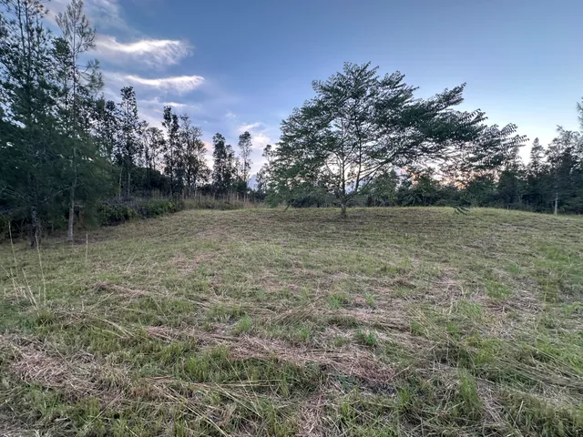 a view of a big yard