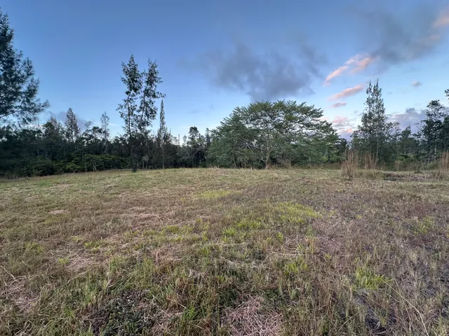 a view of a field with trees in background