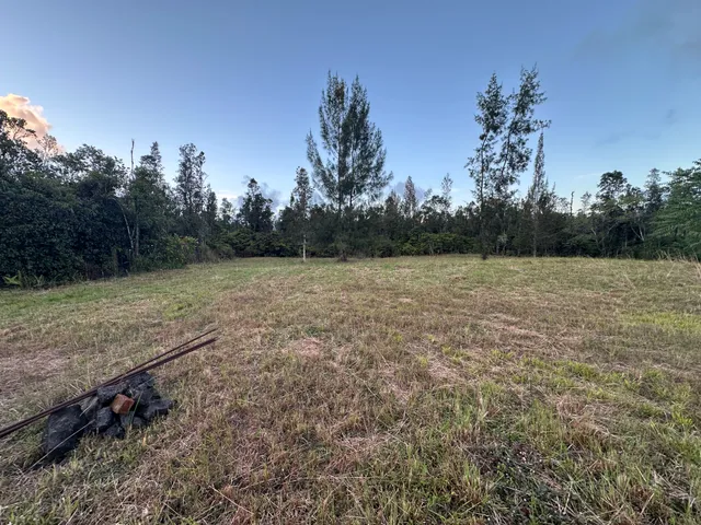 a view of a field with trees in background