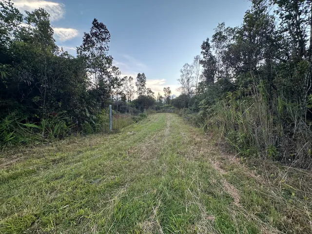 a view of a green field with lots of bushes