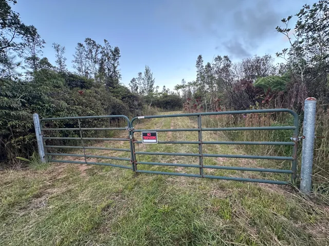 a view of park with trees