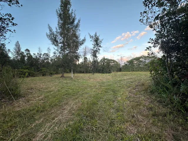 a view of outdoor space with deck and yard
