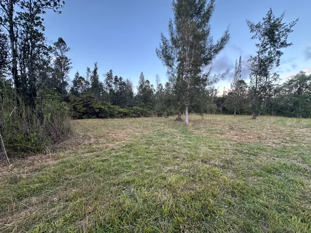 a view of a field with trees in the background