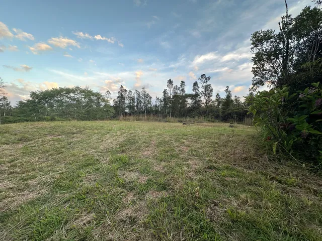 a view of a field with an ocean and covered with trees in the background