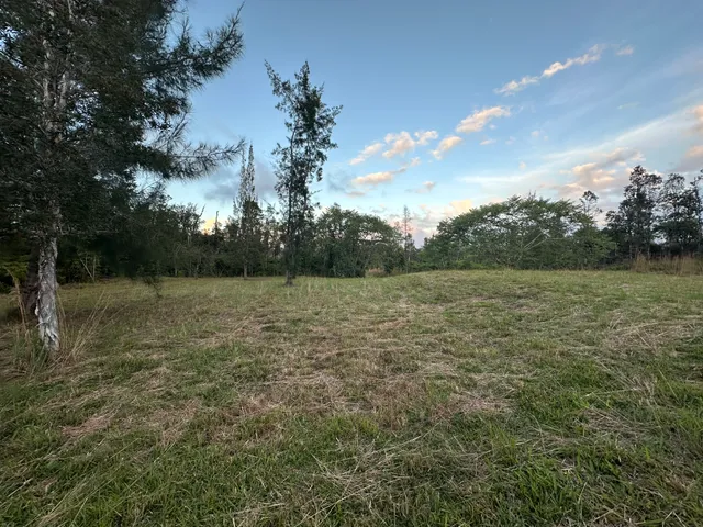a view of outdoor space with deck and yard