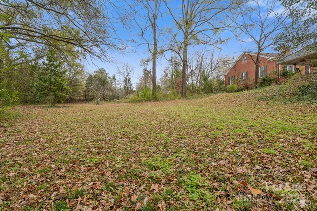 a view of yard with large tree
