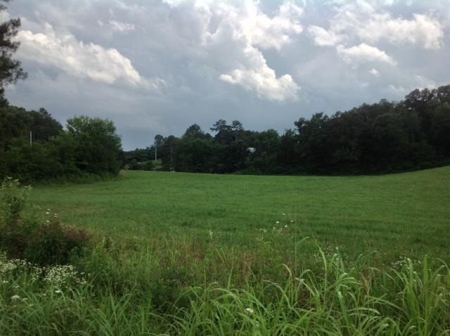0 Smyrna Road Dayton, TN 37321 - Photo 7 of 12 Day 6