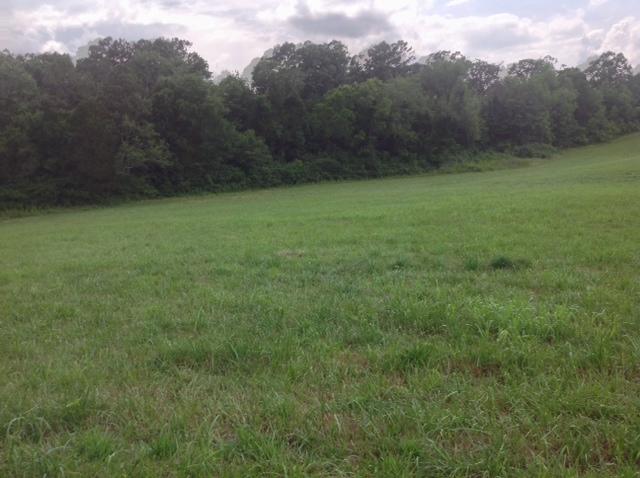 0 Smyrna Road Dayton, TN 37321 - Photo 8 of 12 Day 7