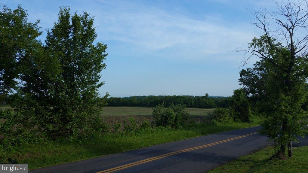 73 Dublin Road Pennington, NJ 08534 - Photo 53 of 60 View across the road