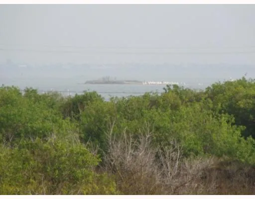 a view of a field of grass and trees