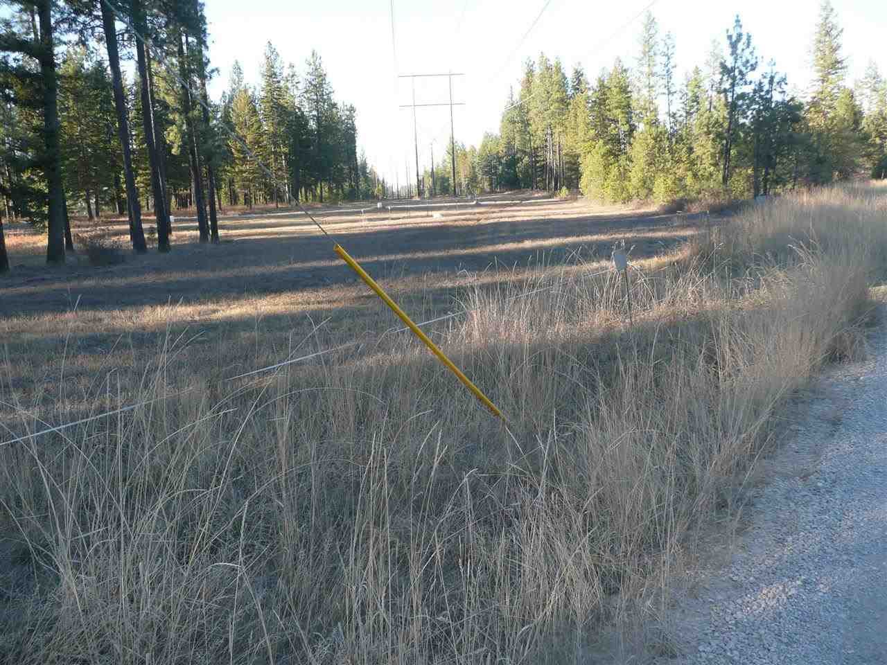 3834 Powers Road Loon Lake, WA 99148 - Photo 11 of 12 Gallery Image 11