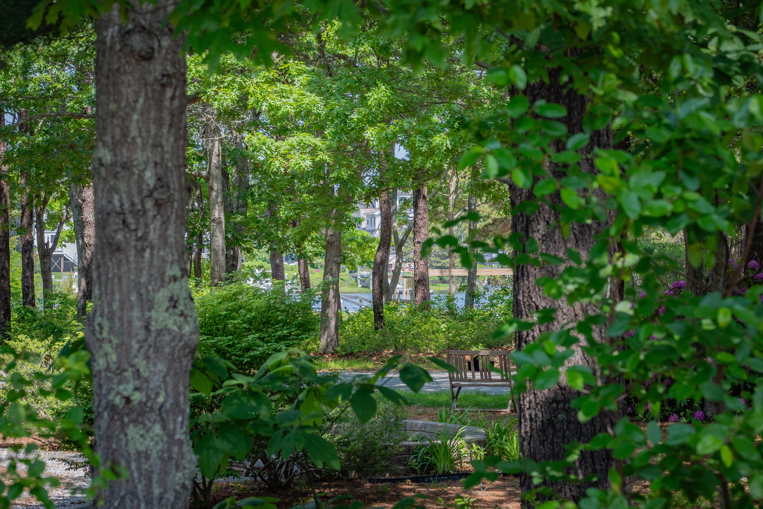 64 Manitoba Road Mashpee, MA 02649 - Photo 8 of 26 64 Manitoba Road - Water Views