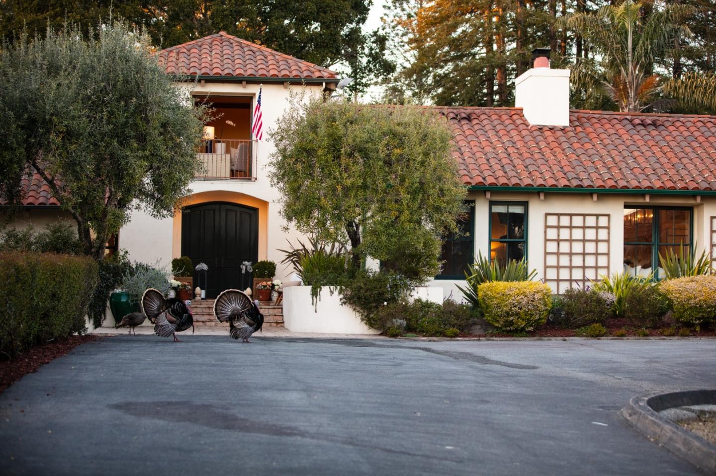 33 Bear Vly Ridge Aptos, CA 95003 - Photo 65 of 81 Gallery Image 65