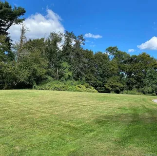 a view of a field with an trees