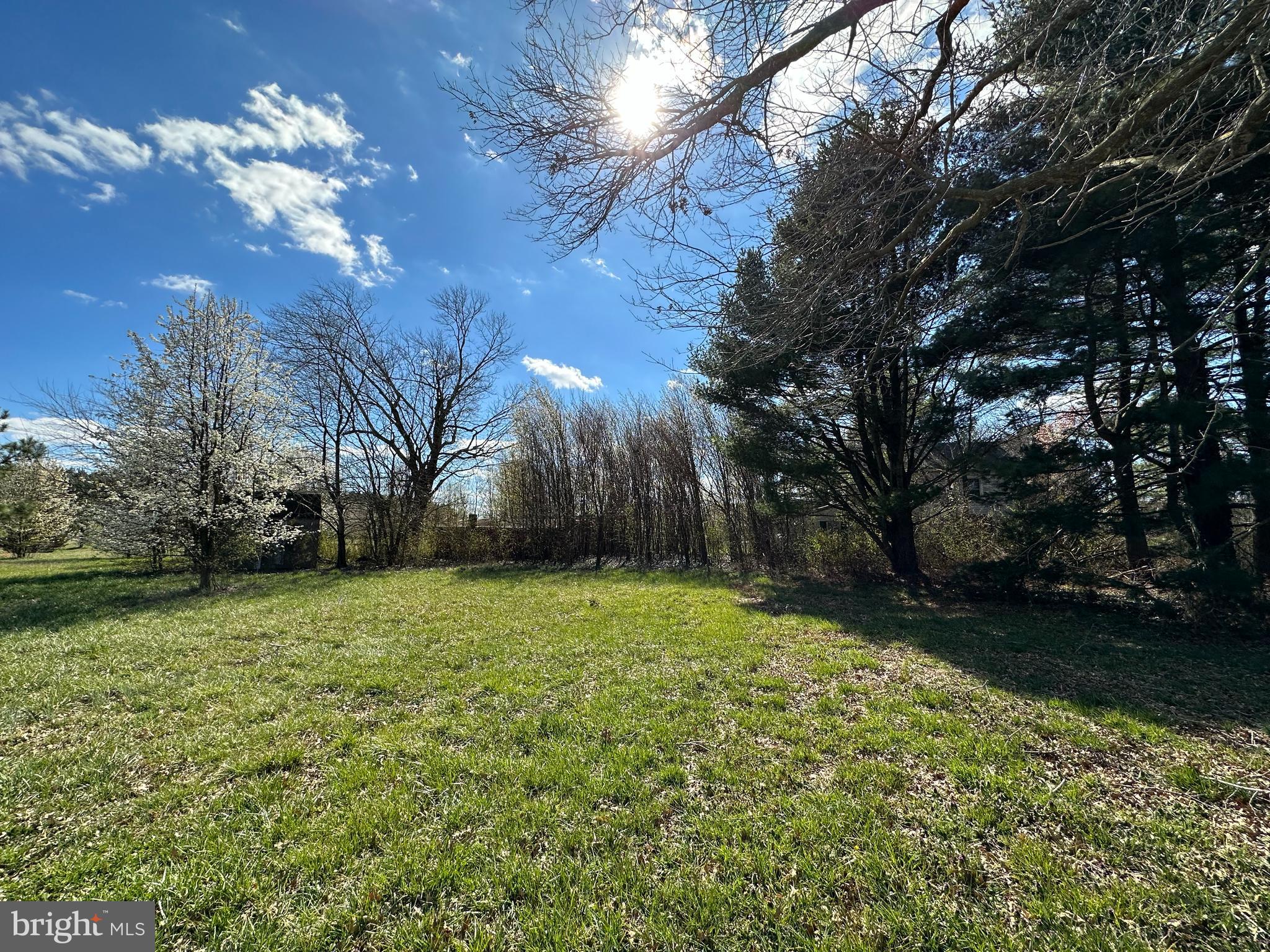 8320 Detour Road Denton, MD 21629 - Photo 3 of 14 a view of backyard with green space