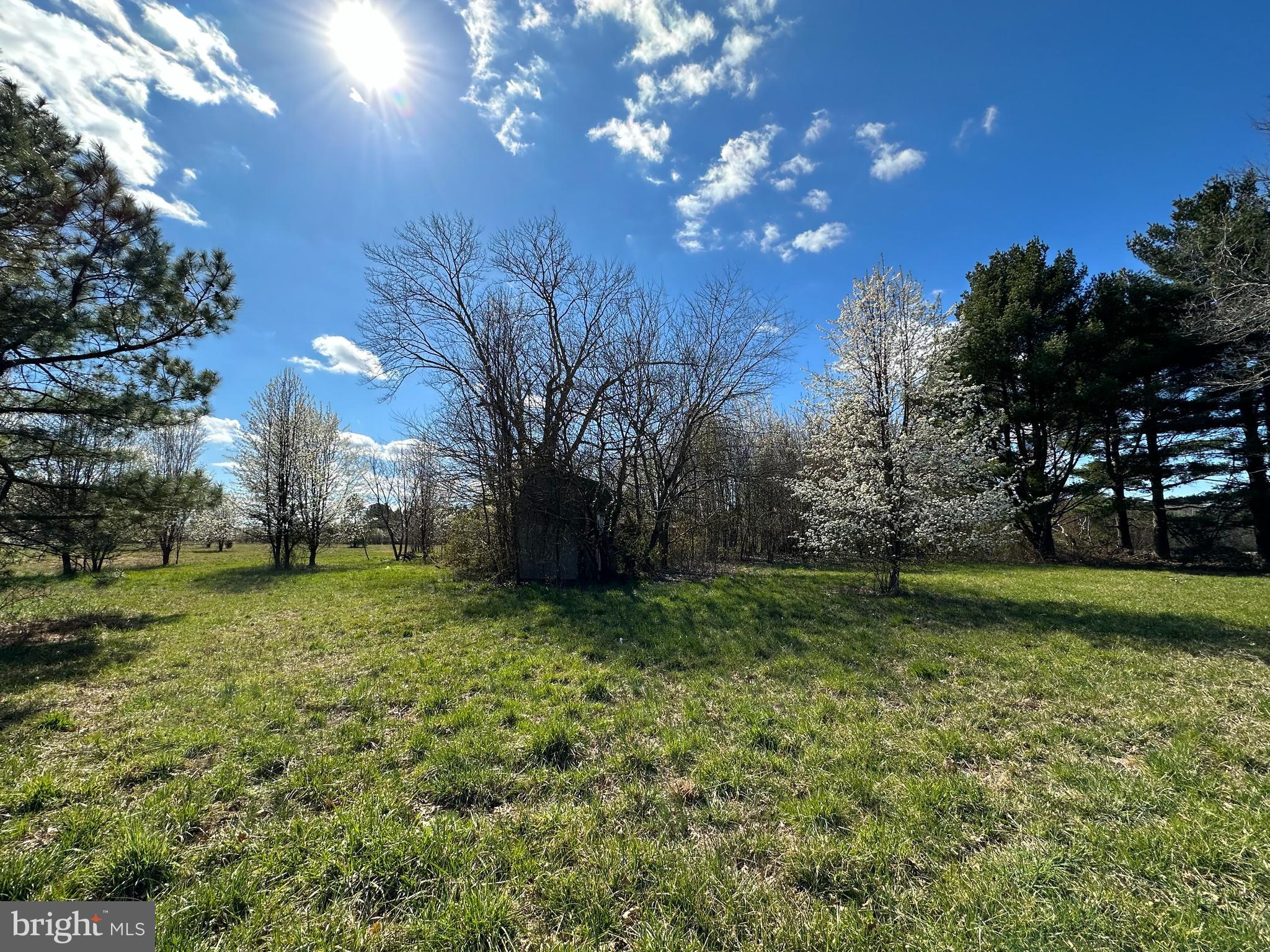 8320 Detour Road Denton, MD 21629 - Photo 4 of 14 a view of a yard with a house