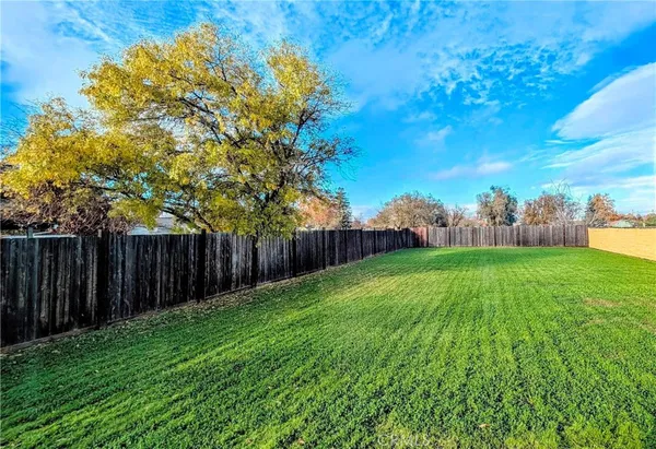 a view of yard with entertaining space