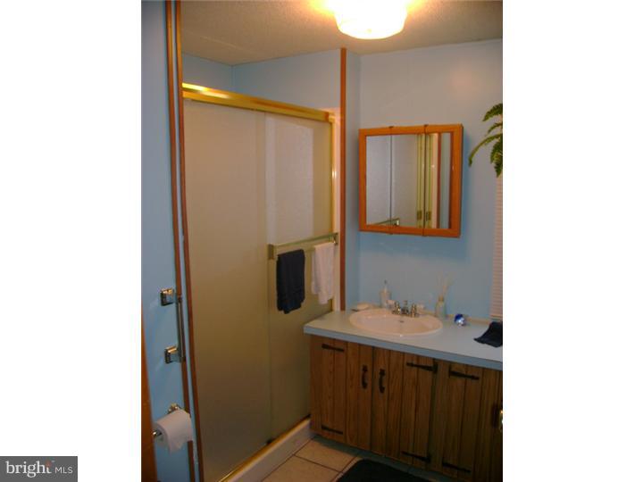 40 Keystone Road Reading, PA 19606 - Photo 4 of 10 Bathroom