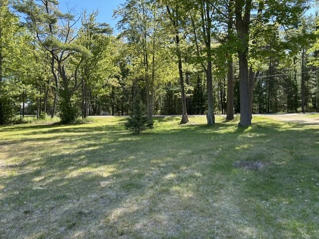 22 Baldwin Resort Road East Tawas, MI 48730 - Photo 5 of 72