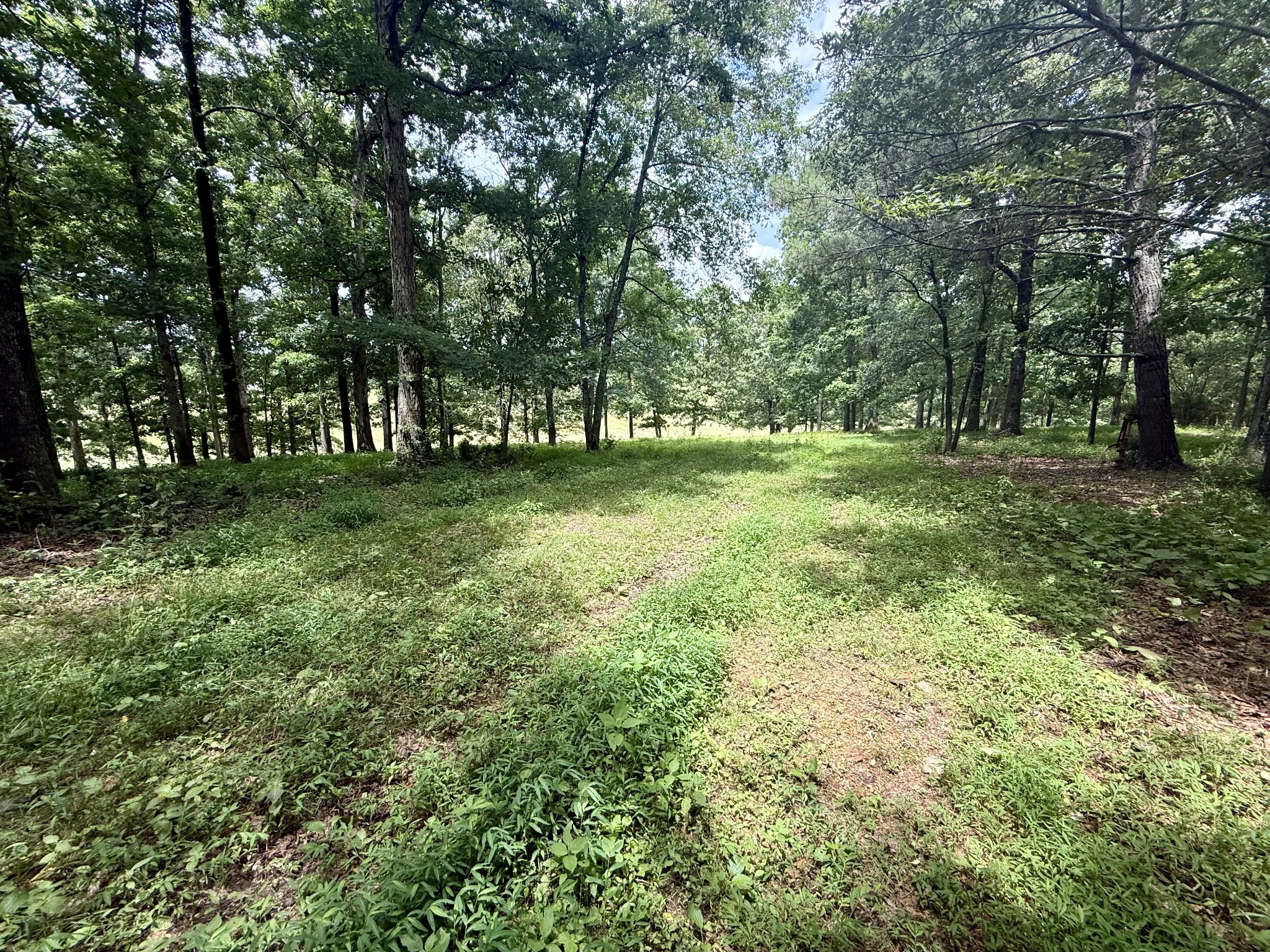 0 Crowder Road Lawrenceburg, TN 38464 - Photo 12 of 58