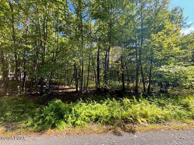 Lot 427 Squirrel Road Dingmans Ferry, PA 18328 - Photo 4 of 8
