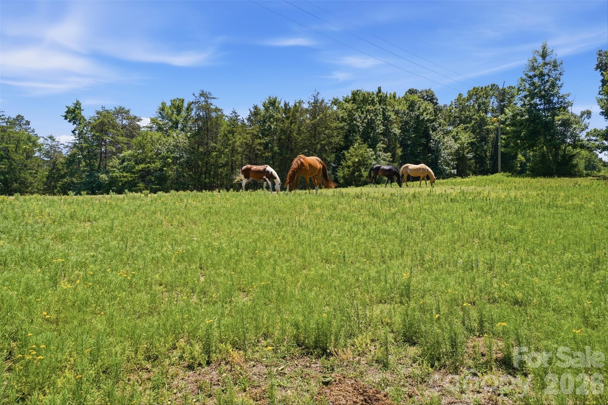 5835 Kreps Road Clover, SC 29710 - Photo 13 of 46