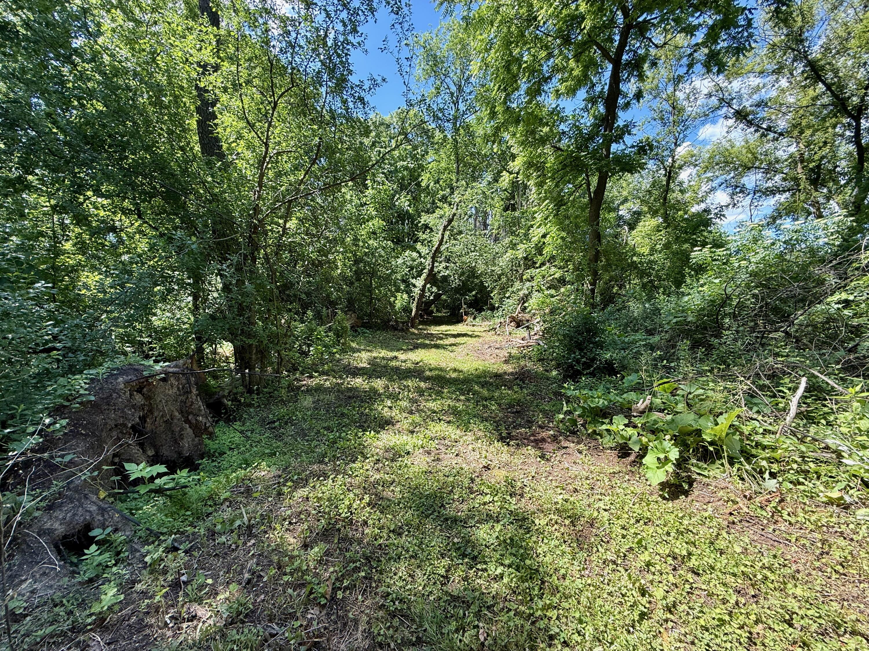 1787 Strawberry Road Deerfield, WI 53531 - Photo 17 of 25 1787 Strawberry Rd - 17 of 24