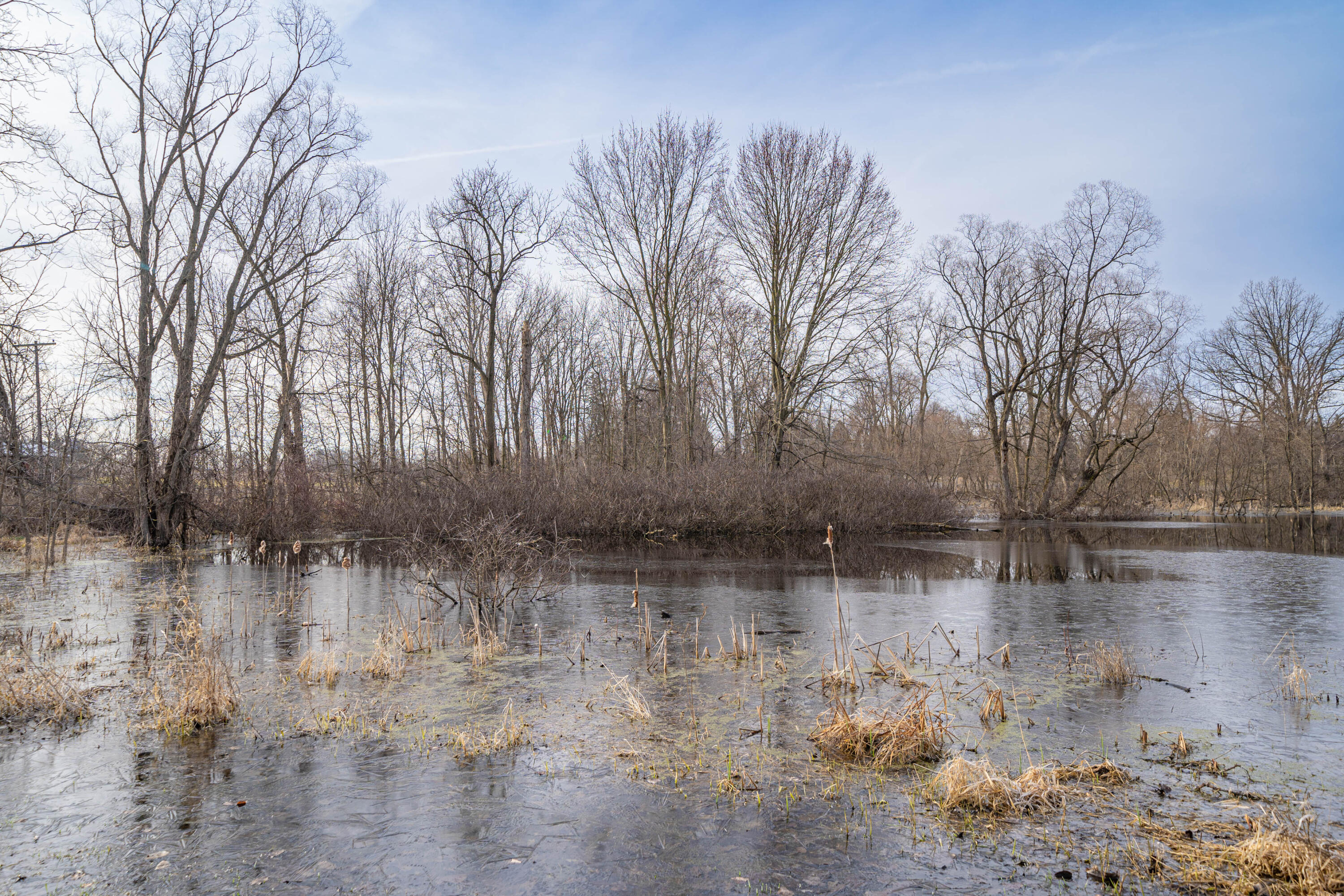 9700 Harris Rd (5 of 24)