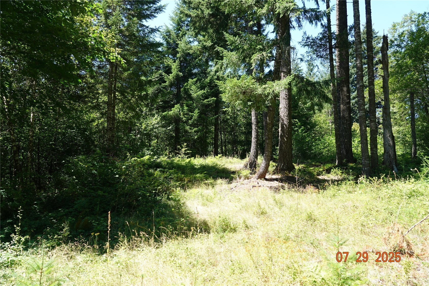 1 Duncan Creek Road Stevenson, WA 98648 - Photo 11 of 37 a backyard of a house with lots of green space