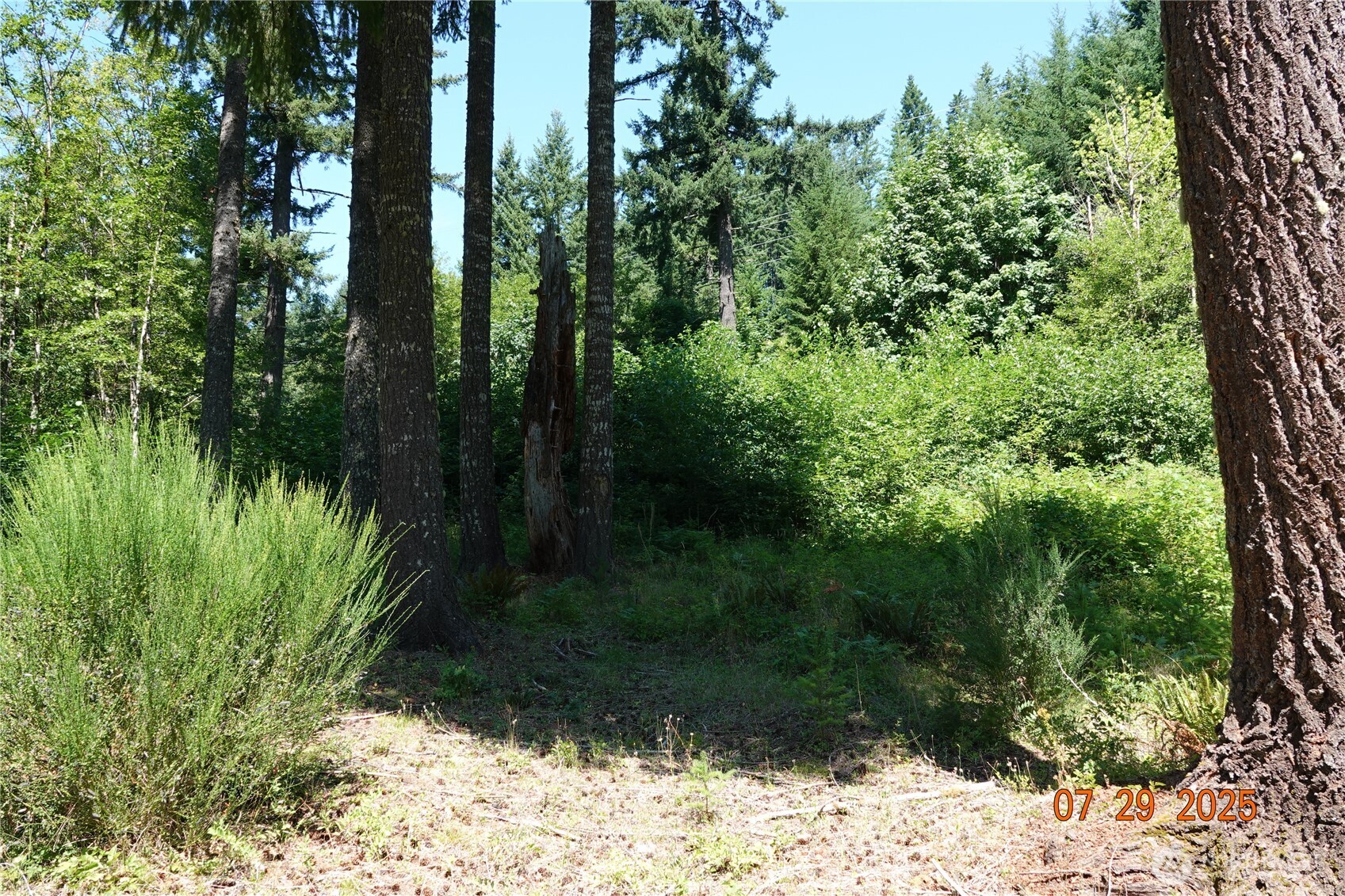1 Duncan Creek Road Stevenson, WA 98648 - Photo 12 of 37 a view of a garden