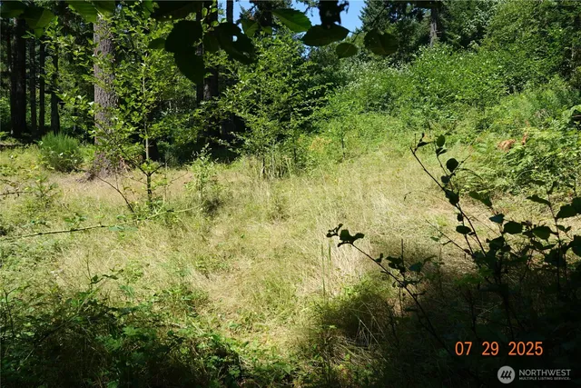 a view of outdoor space and trees all around