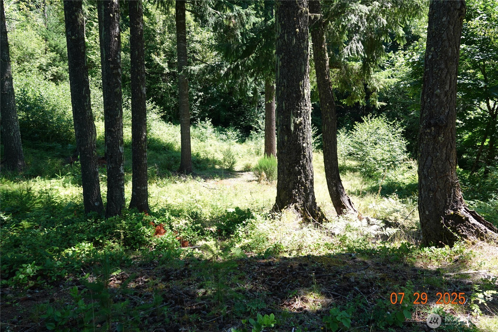 1 Duncan Creek Road Stevenson, WA 98648 - Photo 19 of 37 a view of outdoor space and garden