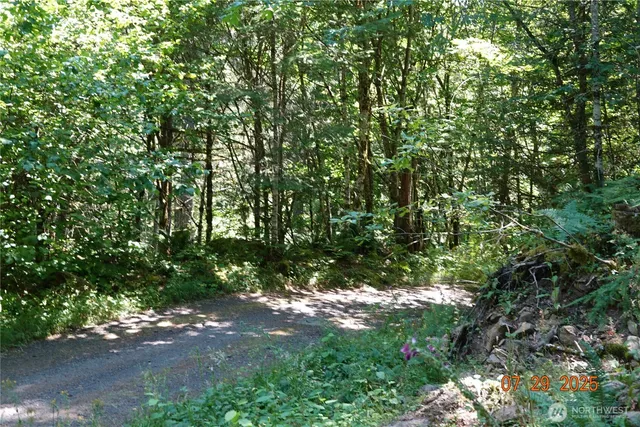 a backyard of a house with lots of green space