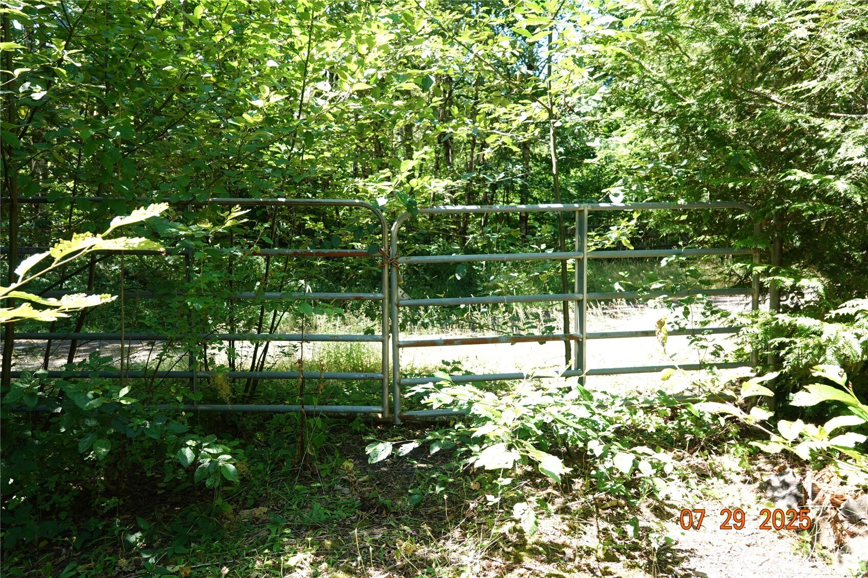 1 Duncan Creek Road Stevenson, WA 98648 - Photo 21 of 37 a view of tree