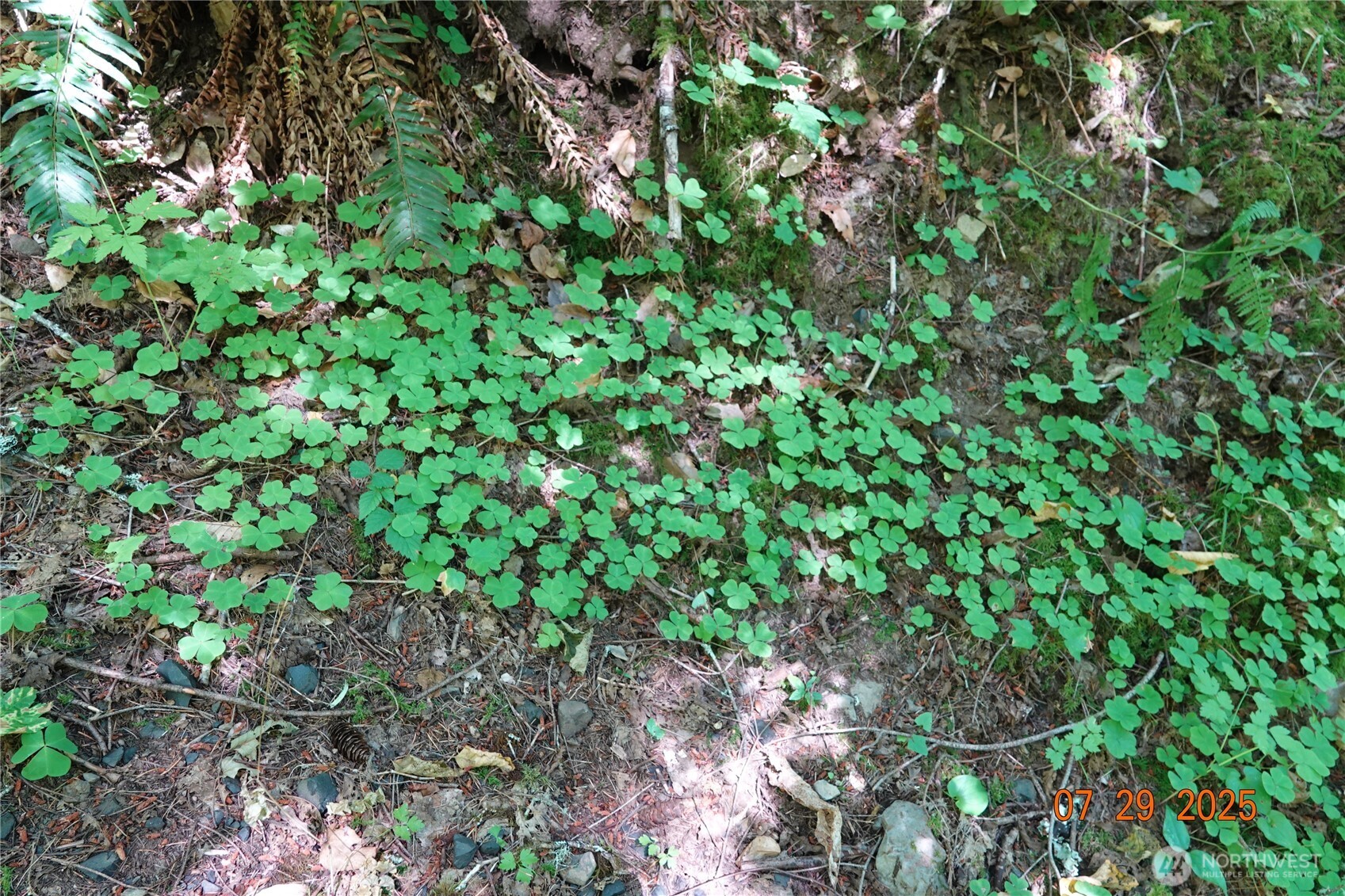 1 Duncan Creek Road Stevenson, WA 98648 - Photo 26 of 37 a backyard of a house